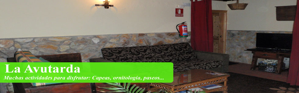 Actividades en la casa rural de Salamanca